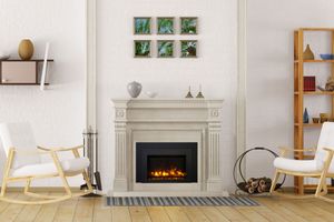 Ambiance: 30-Inch Electric Insert