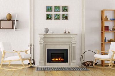 Ambiance: 34-Inch Electric Insert